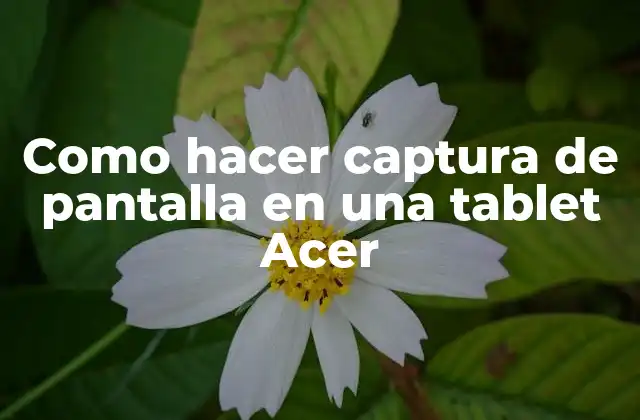 Como Hacer Captura de Pantalla en una Tablet Acer
