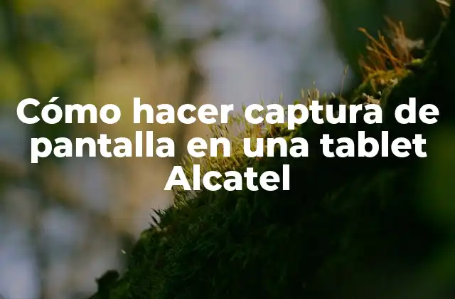Cómo Hacer Captura de Pantalla en una Tablet Alcatel