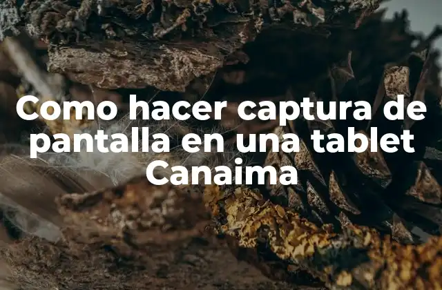 Como Hacer Captura de Pantalla en una Tablet Canaima