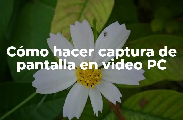 Cómo Hacer Captura de Pantalla en Video Pc