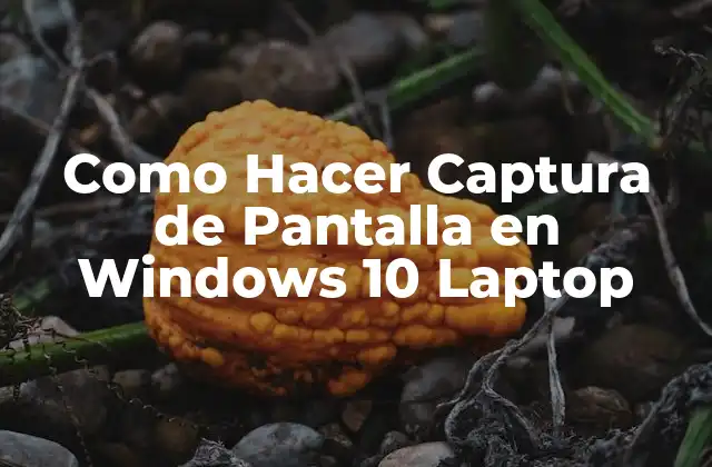 Como Hacer Captura de Pantalla en Windows 10 Laptop