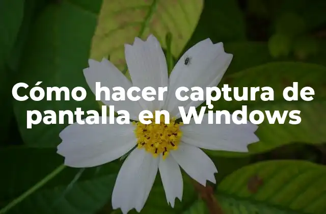 Cómo Hacer Captura de Pantalla en Windows
