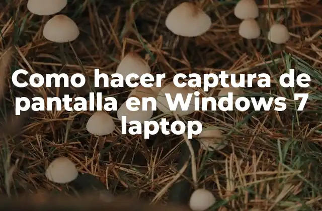 Como Hacer Captura de Pantalla en Windows 7 Laptop