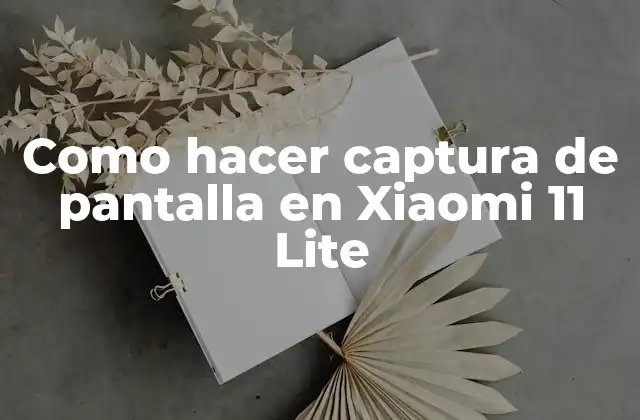 Como Hacer Captura de Pantalla en Xiaomi 11 Lite