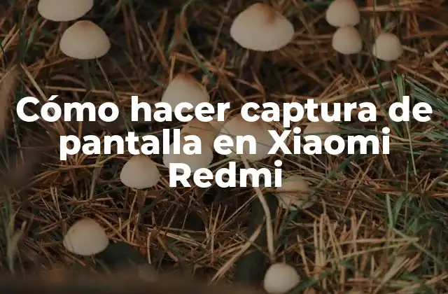 Cómo Hacer Captura de Pantalla en Xiaomi Redmi