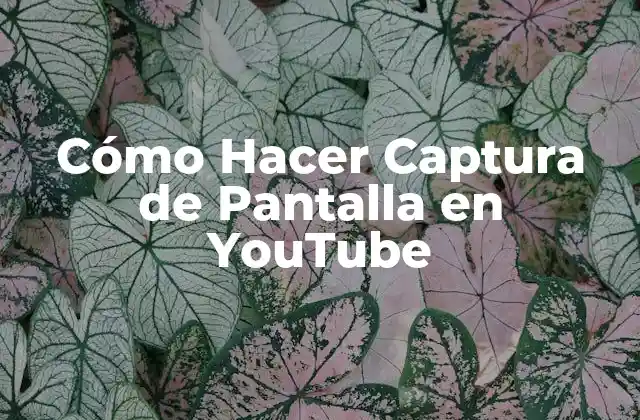 Cómo Hacer Captura de Pantalla en Youtube