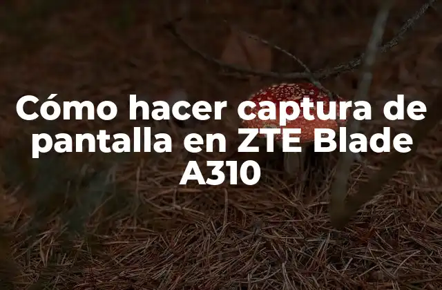 Cómo Hacer Captura de Pantalla en Zte Blade A310