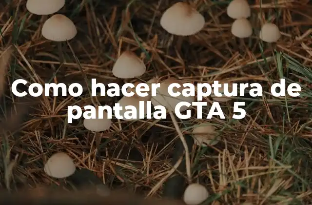 Como Hacer Captura de Pantalla Gta 5