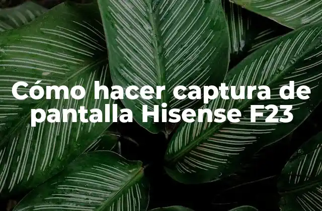 Cómo Hacer Captura de Pantalla Hisense F23