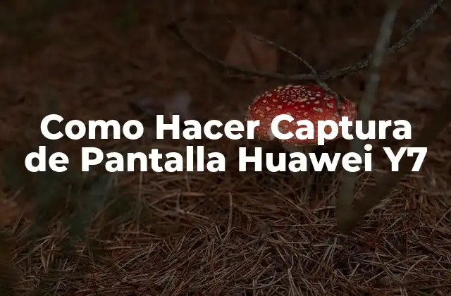 Como Hacer Captura de Pantalla Huawei Y7