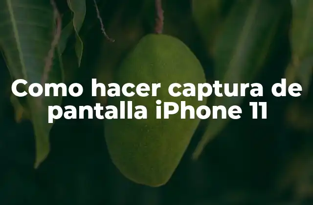 Como Hacer Captura de Pantalla Iphone 11