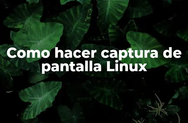 Como Hacer Captura de Pantalla Linux 2 Captura de pantalla en Linux