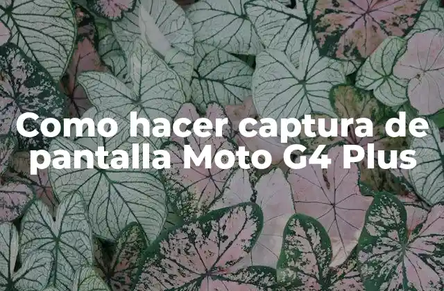 Como Hacer Captura de Pantalla Moto G4 Plus 2 Captura de pantalla en Moto G4 Plus