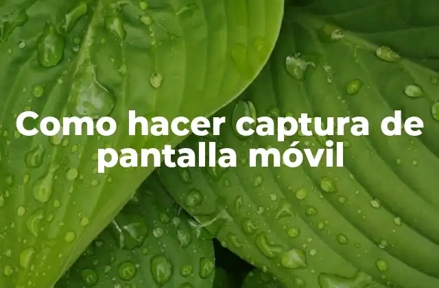 Como Hacer Captura de Pantalla Móvil