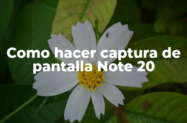 Como Hacer Captura de Pantalla Note 20
