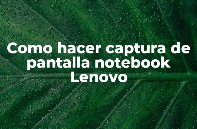 Como Hacer Captura de Pantalla Notebook Lenovo