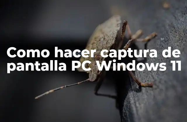 Como Hacer Captura de Pantalla Pc Windows 11