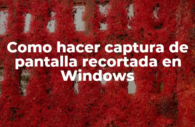 Como Hacer Captura de Pantalla Recortada en Windows