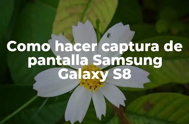 Como Hacer Captura de Pantalla Samsung Galaxy S8