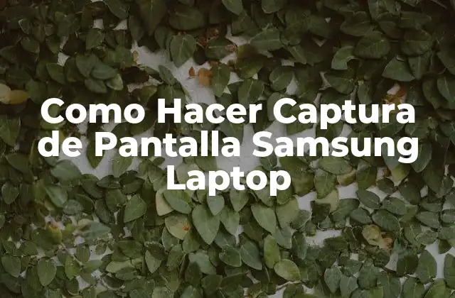 Como Hacer Captura de Pantalla Samsung Laptop