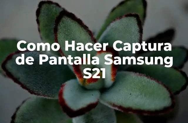 ¿Qué es una Captura de Pantalla en un Samsung S21?