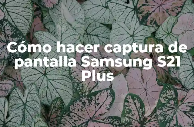 Cómo Hacer Captura de Pantalla Samsung S21 Plus