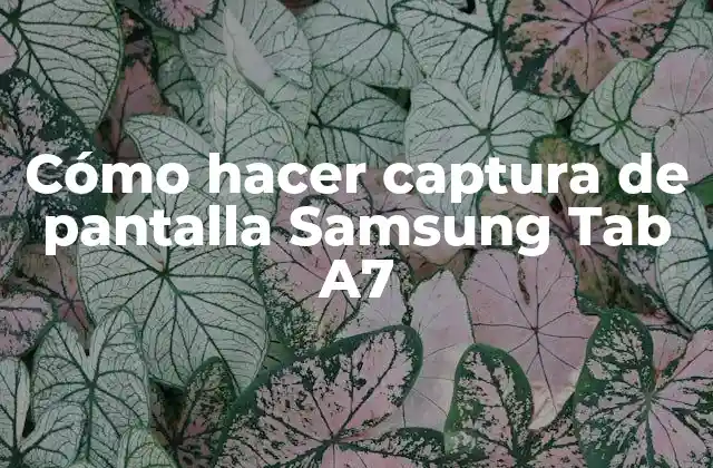 Cómo Hacer Captura de Pantalla Samsung Tab A7