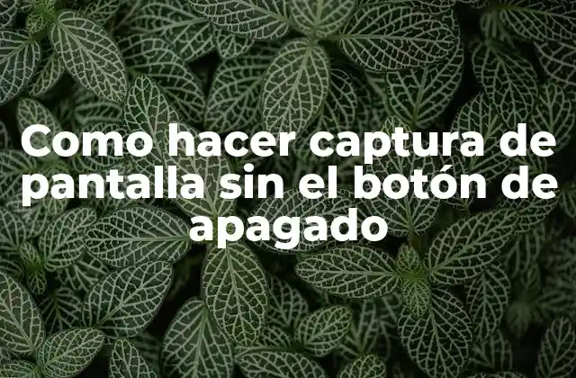 Como Hacer Captura de Pantalla sin el Botón de Apagado