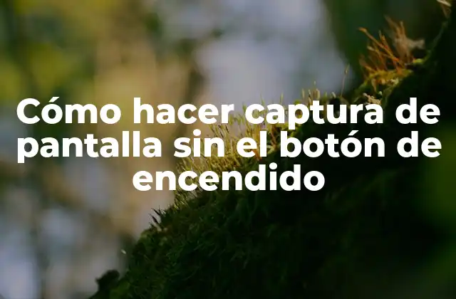 Cómo Hacer Captura de Pantalla sin el Botón de Encendido
