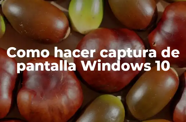 Como Hacer Captura de Pantalla Windows 10