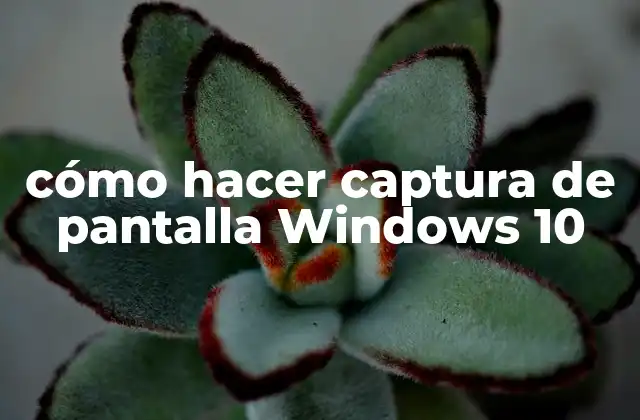 Cómo Hacer Captura de Pantalla Windows 10
