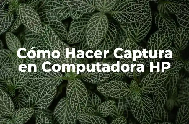 Cómo Hacer Captura en Computadora Hp 2 Qué es una Captura de Pantalla y para Qué Sirve