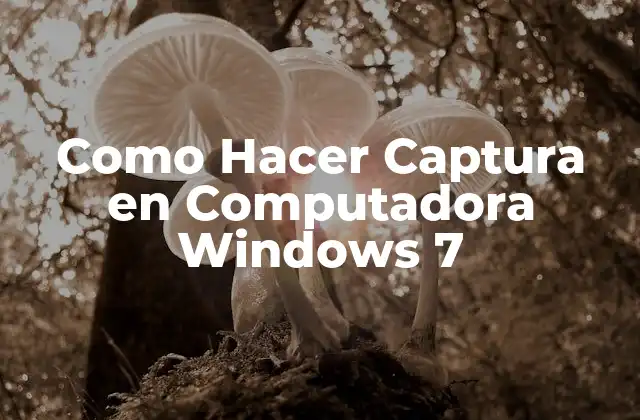 Como Hacer Captura en Computadora Windows 7 2 Captura de Pantalla en Windows 7