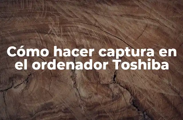 Cómo Hacer Captura en el Ordenador Toshiba