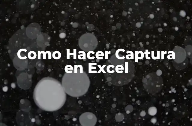 ¿Qué es la Captura en Excel?