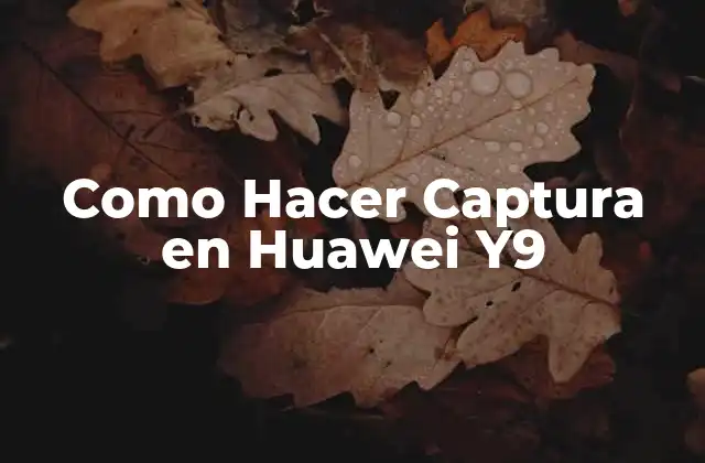 Como Hacer Captura en Huawei Y9 2 ¿Qué es una Captura en Huawei Y9 y para qué Sirve?