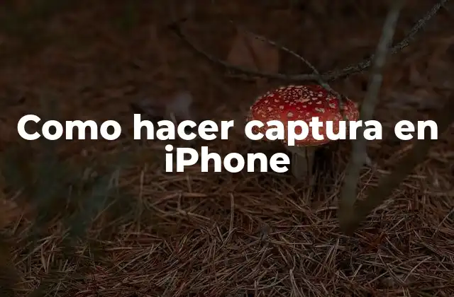 Como Hacer Captura en Iphone