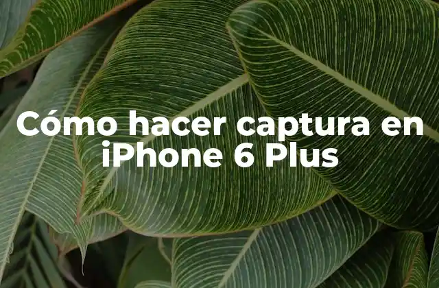 Cómo Hacer Captura en Iphone 6 Plus