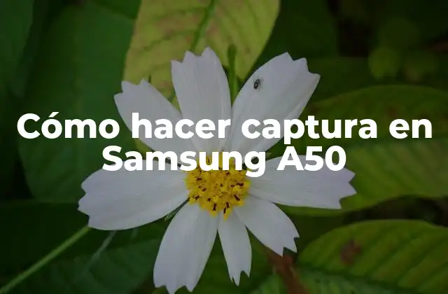 Cómo Hacer Captura en Samsung A50
