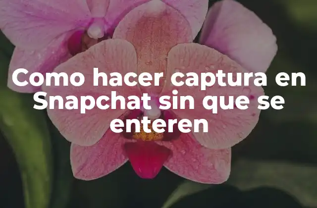 Como Hacer Captura en Snapchat sin que Se Enteren