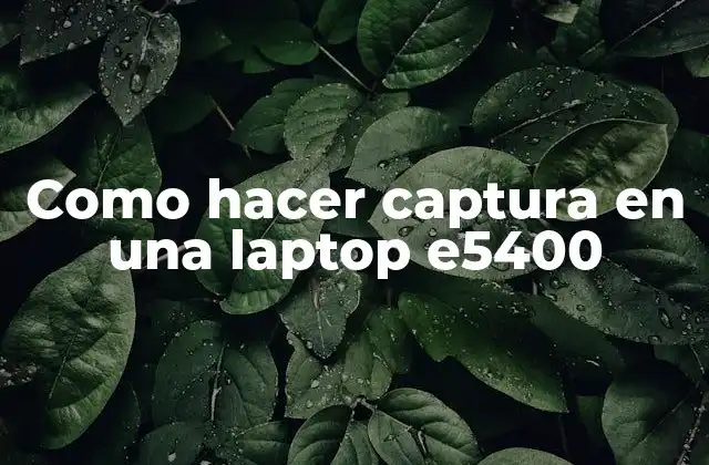 Como Hacer Captura en una Laptop E5400