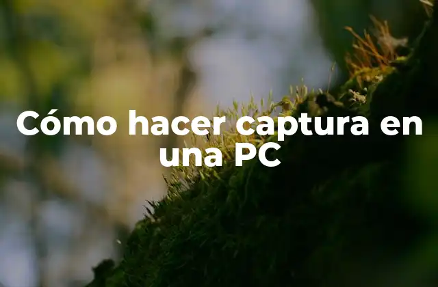 Cómo Hacer Captura en una Pc