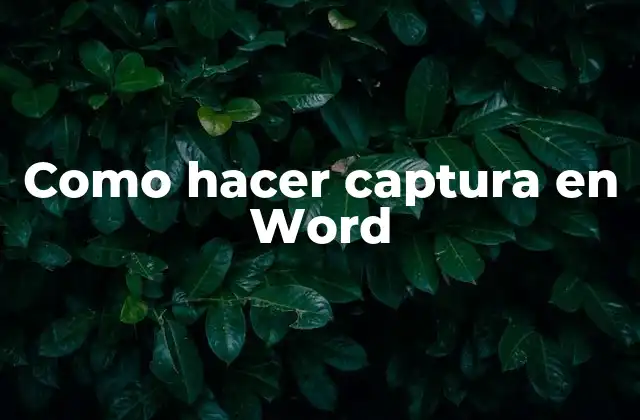 Como Hacer Captura en Word