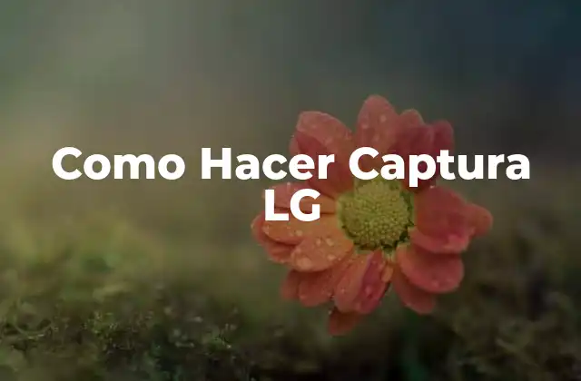 ¿Qué es Captura LG?
