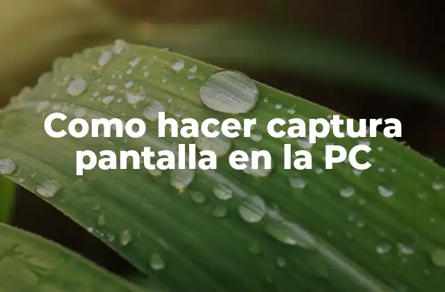 Como hacer captura pantalla en la PC