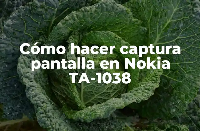 Captura de pantalla en Nokia TA-1038