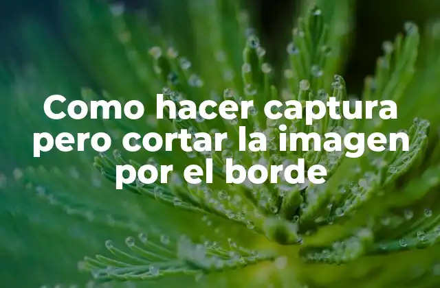 Como Hacer Captura pero Cortar la Imagen por el Borde