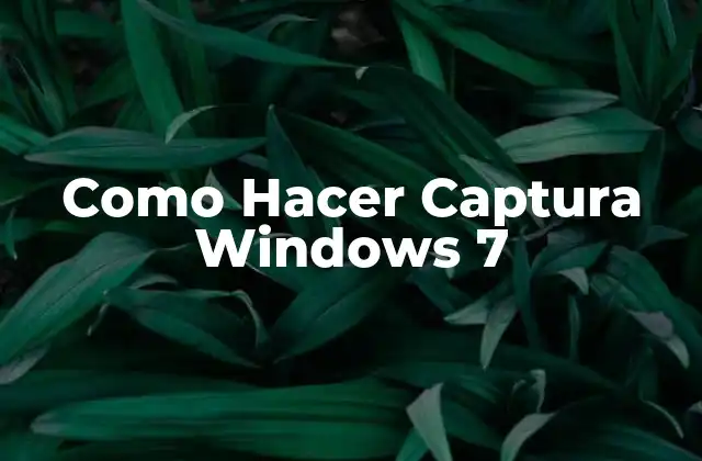 ¿Qué es una Captura de Pantalla y para Qué Sirve en Windows 7?