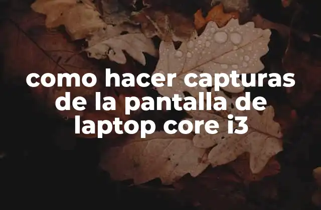 Como Hacer Capturas de la Pantalla de Laptop Core I3 2 Captura de pantalla: ¿qué es y para qué sirve?