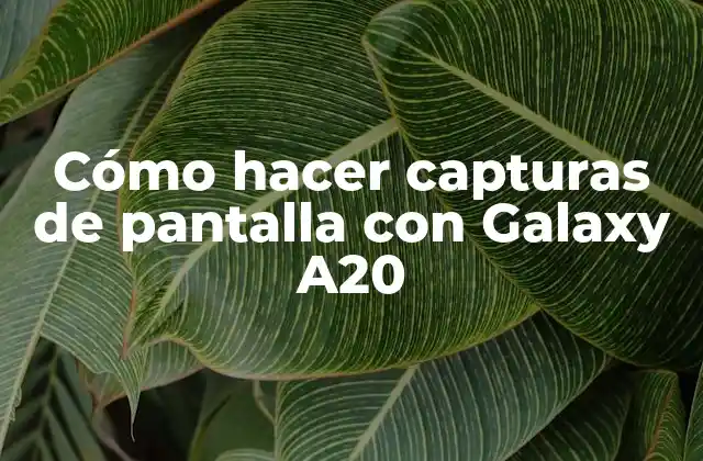Cómo Hacer Capturas de Pantalla con Galaxy A20